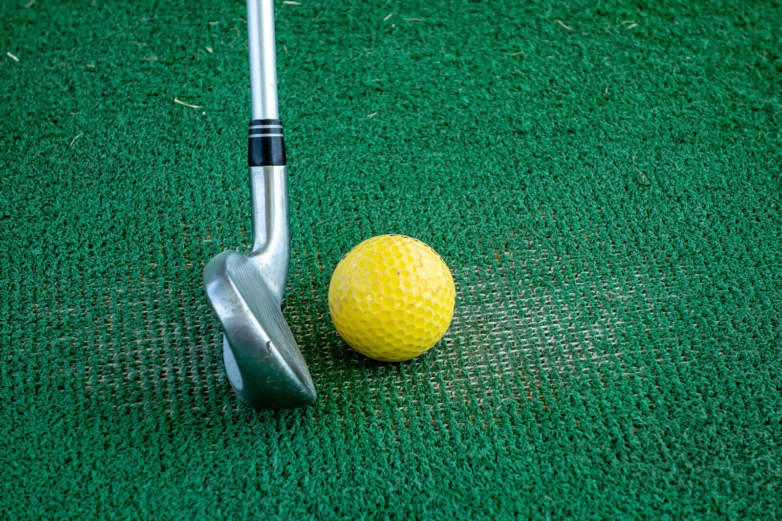 Sony Cyber-shot DSC-RX100 sample photo. Club, cane, golf photography