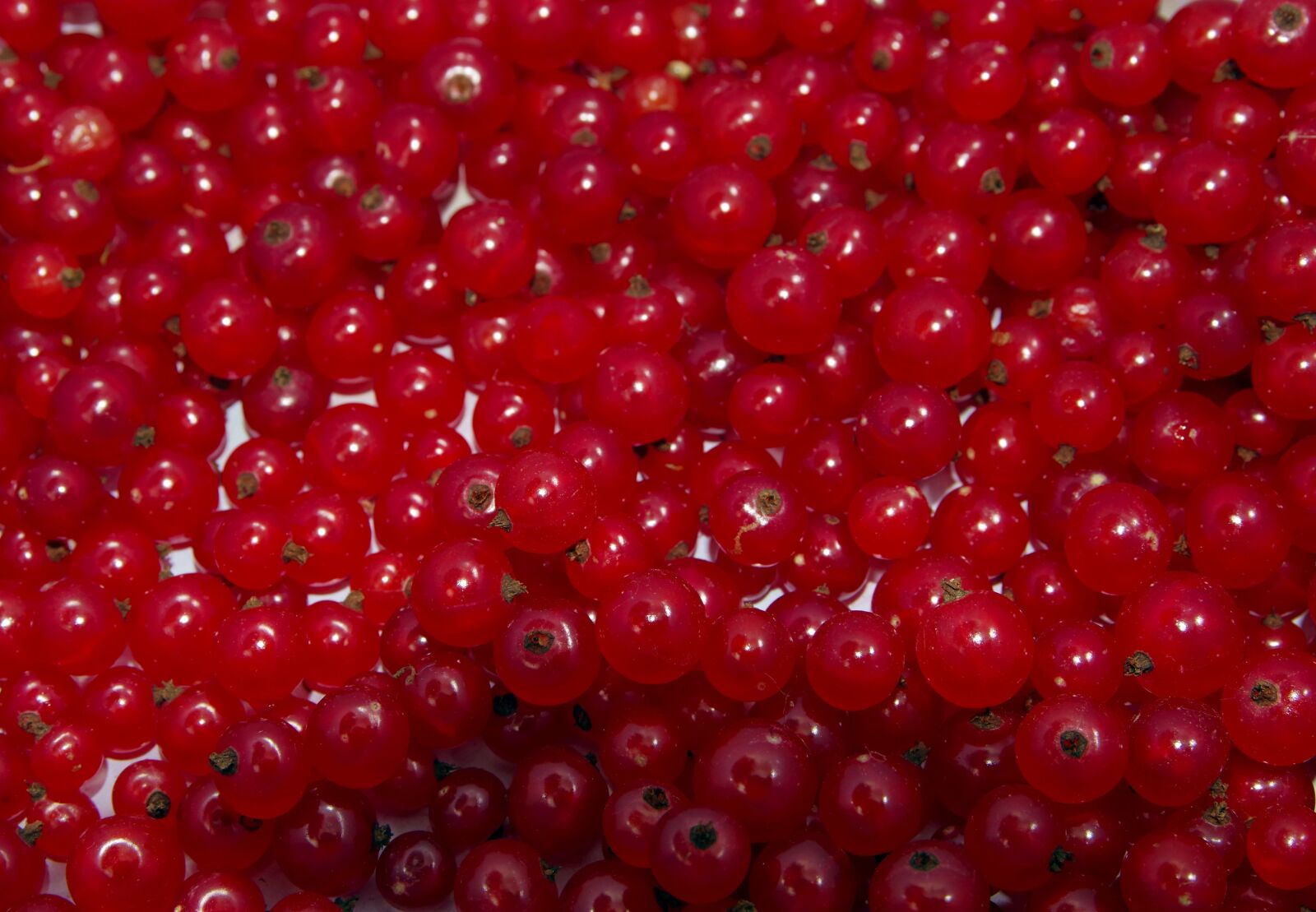 Pentax K-S2 sample photo. Red currant, currant, natural photography