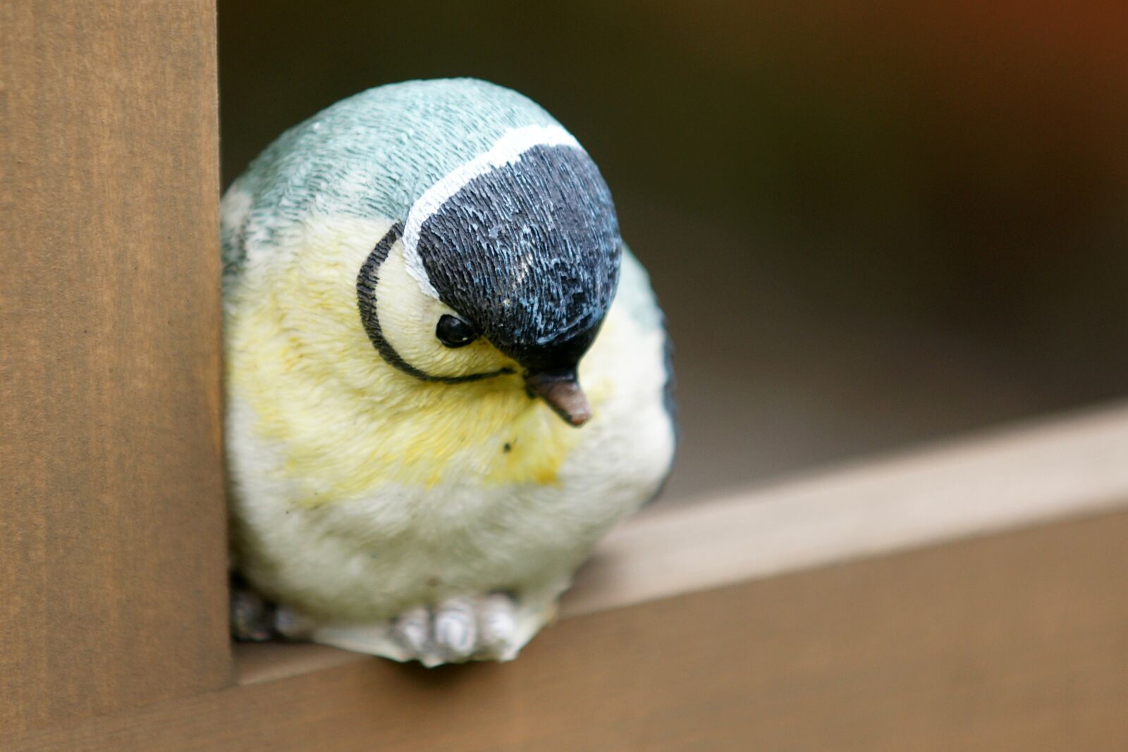 Sony Alpha DSLR-A700 sample photo. Bird, tit, cemetery photography