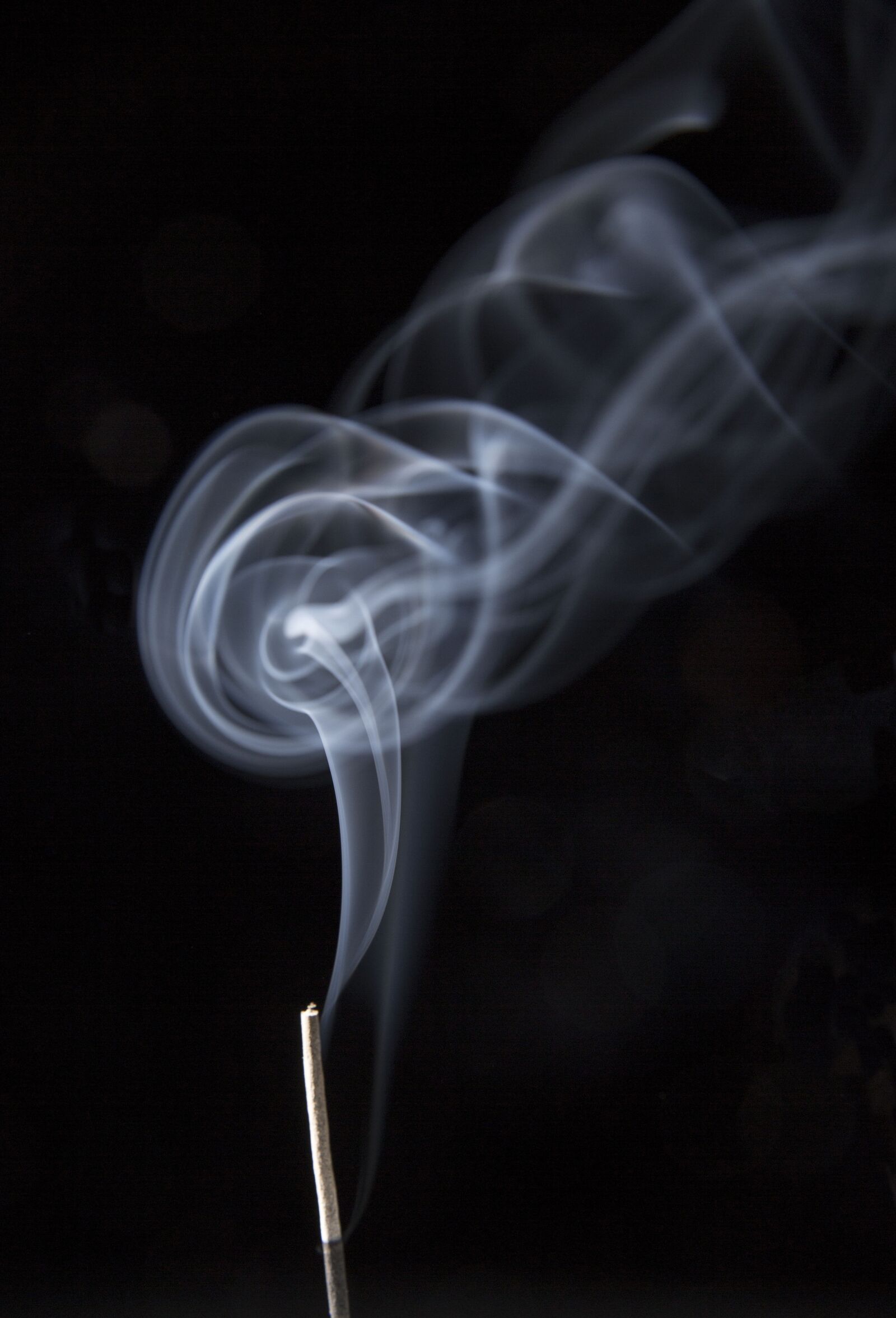 Canon EOS 5D Mark III sample photo. Smoke, black white, aroma photography