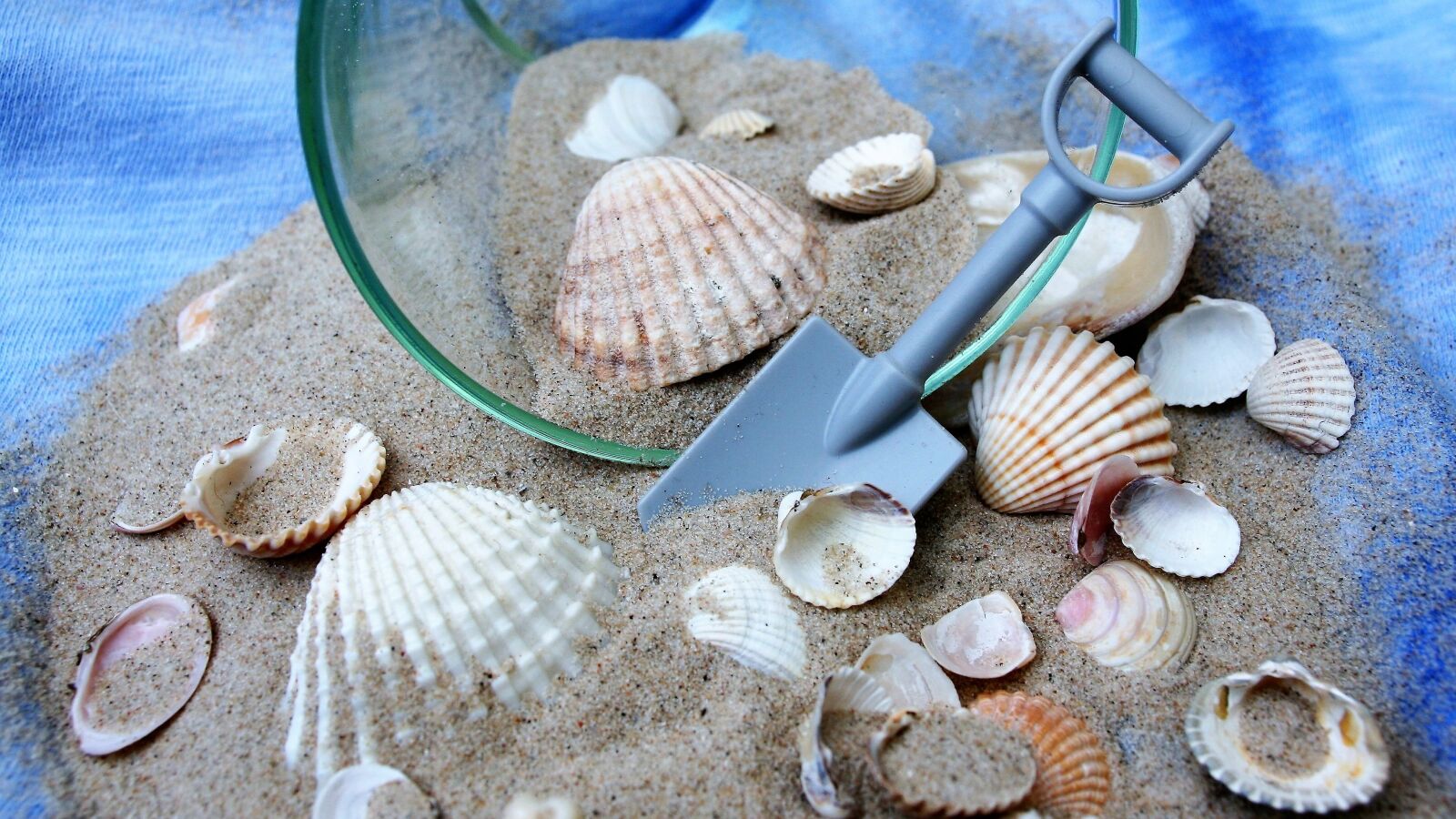 Canon EOS 400D (EOS Digital Rebel XTi / EOS Kiss Digital X) sample photo. Shells, dream, holiday photography