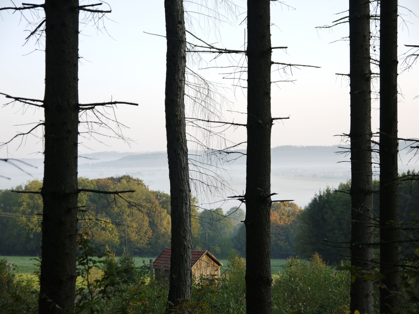 Panasonic Lumix DMC-G10 sample photo. Nature, fog, landscape photography
