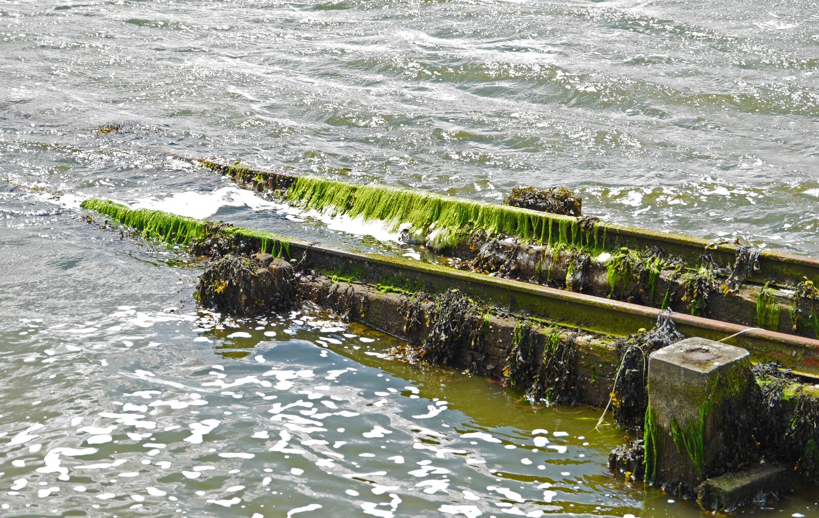 Panasonic Lumix DMC-GH3 sample photo. Old slipway, unused, seaweed photography