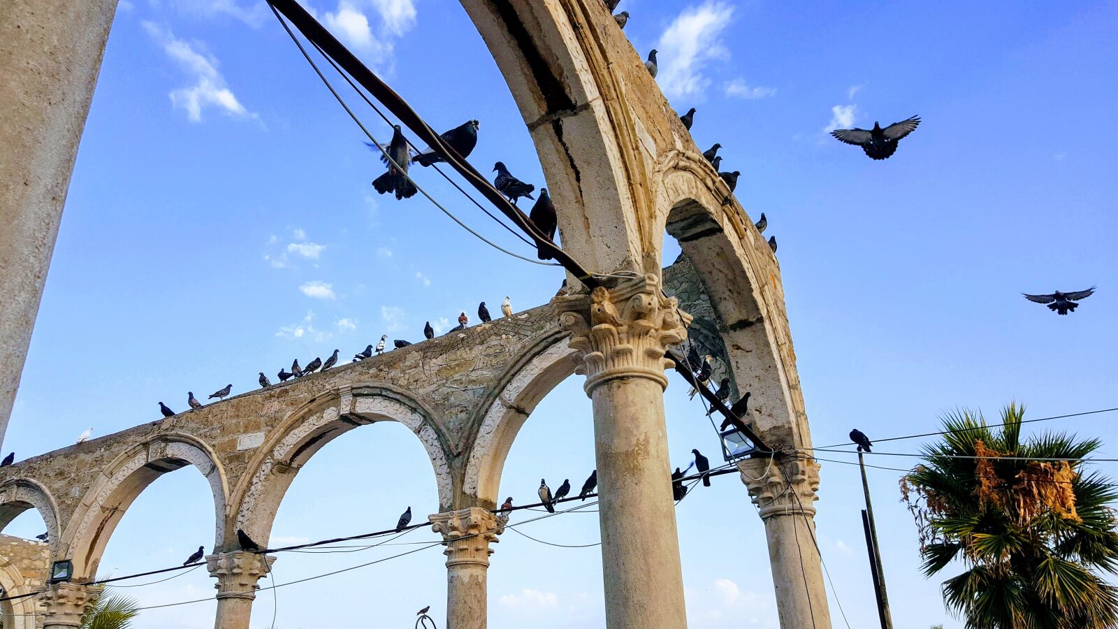Samsung Galaxy Note5 sample photo. Pigeons, peace, antic photography