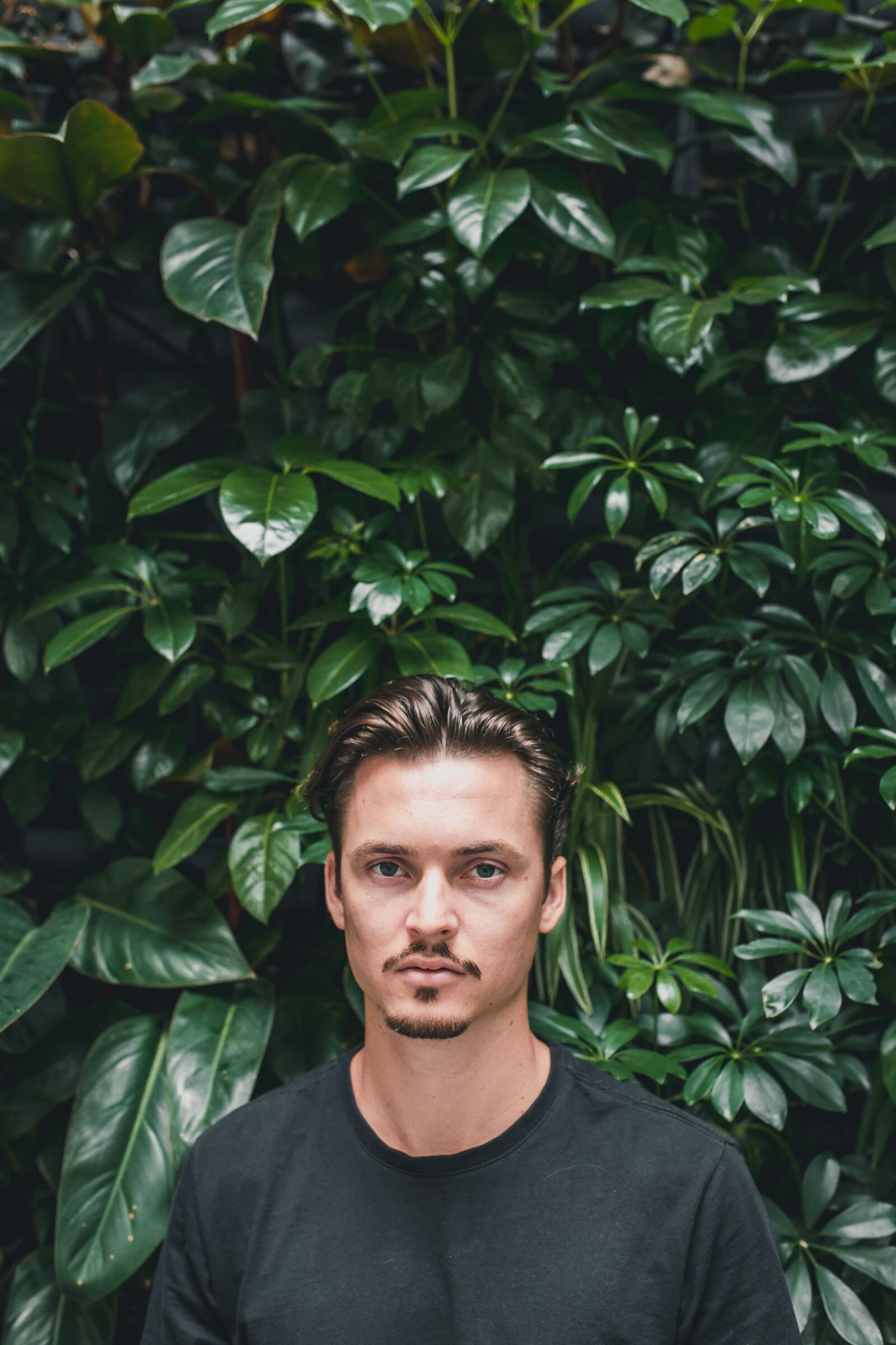 Canon EOS 6D sample photo. Sydney, australia, greenery photography