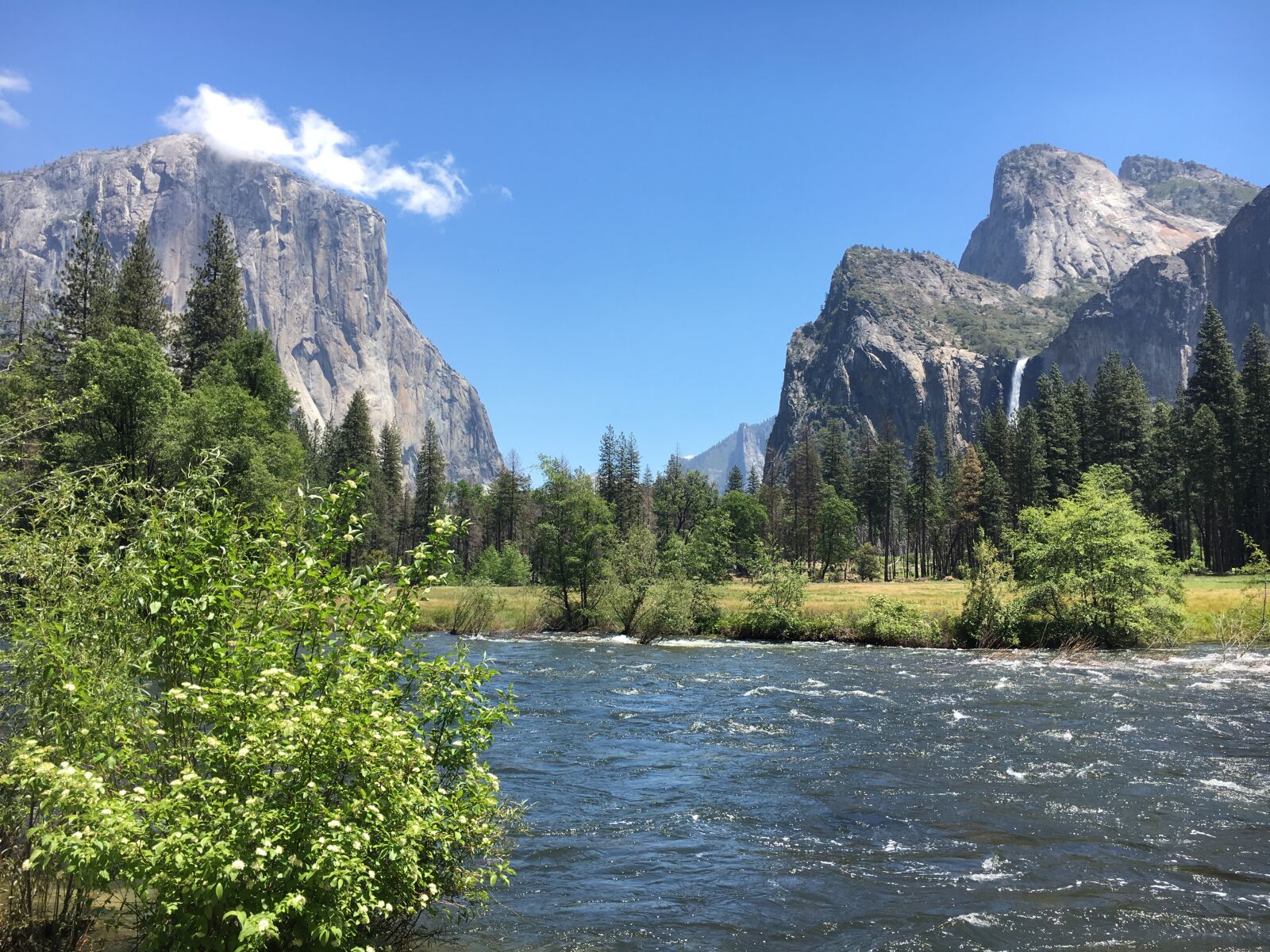 iPhone 6s back camera 4.15mm f/2.2 sample photo. Yosemite, valley photography