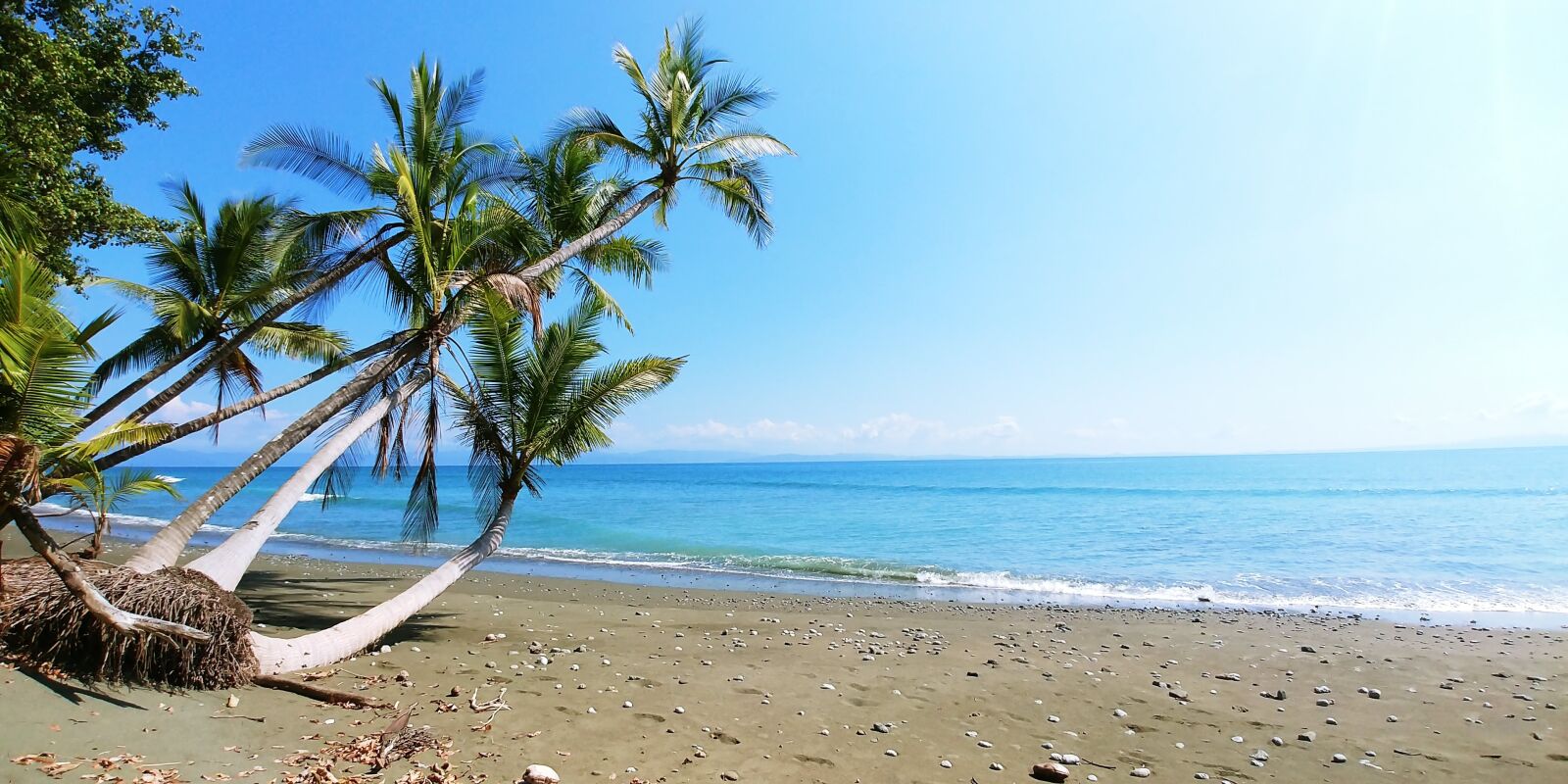 LG G6 sample photo. Costa rica, plant, beach photography