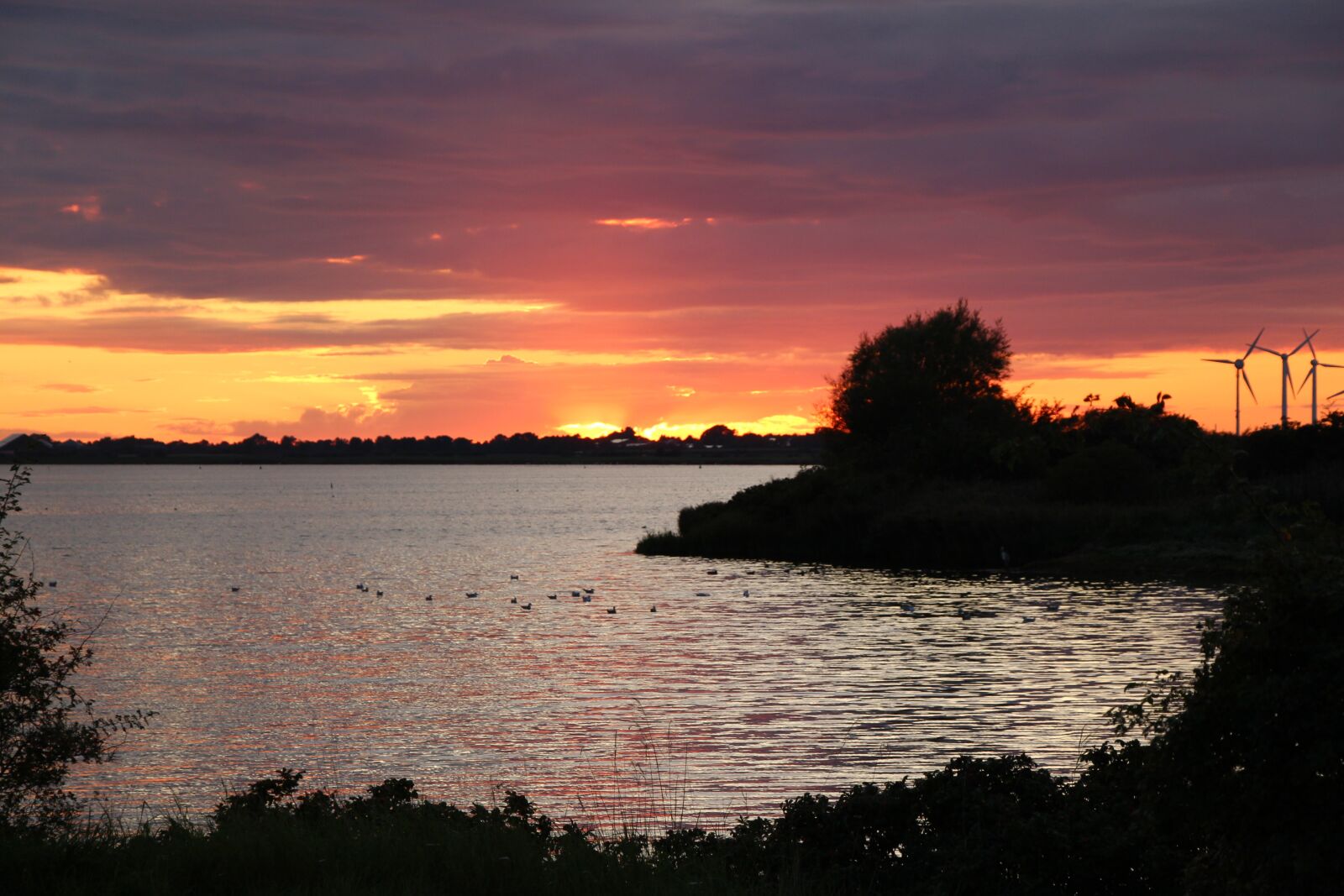 Canon EOS 650D (EOS Rebel T4i / EOS Kiss X6i) sample photo. Clouds, sky, birds photography