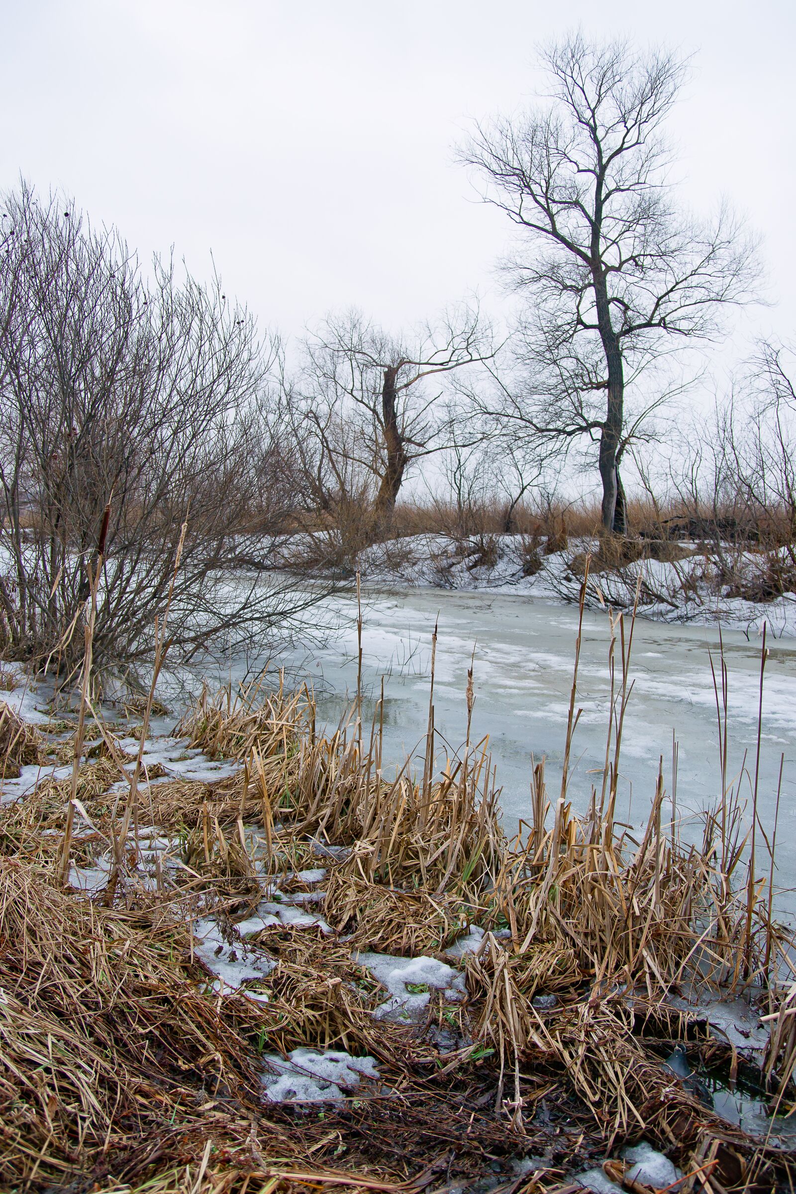 Sony Alpha DSLR-A850 sample photo. Nature, spring, water photography