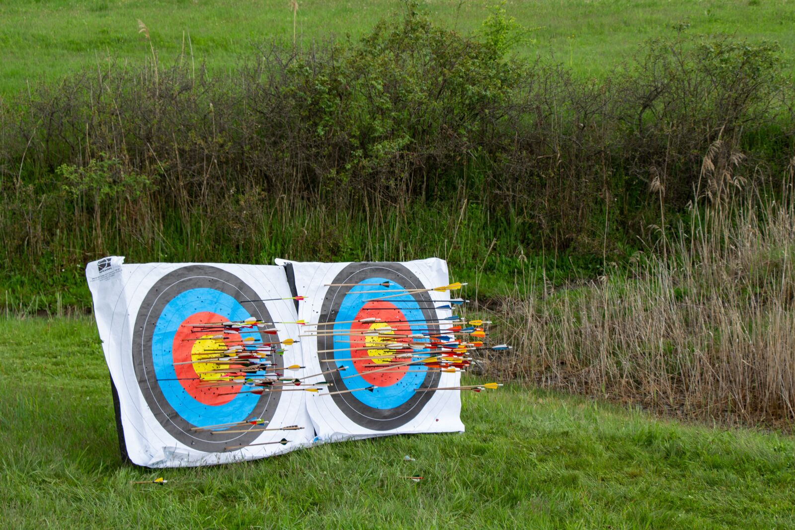 Canon EOS 100D (EOS Rebel SL1 / EOS Kiss X7) sample photo. Arrow, target, range photography