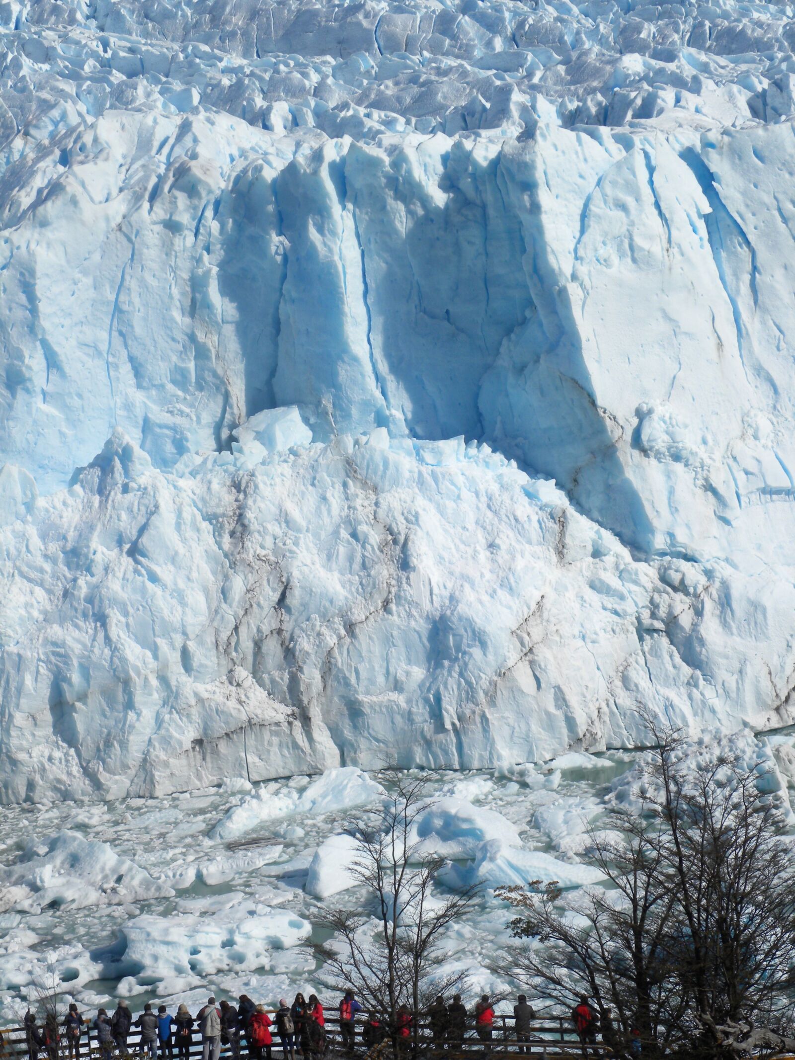 Nikon Coolpix P90 sample photo. Calafate, ice, patagonia photography