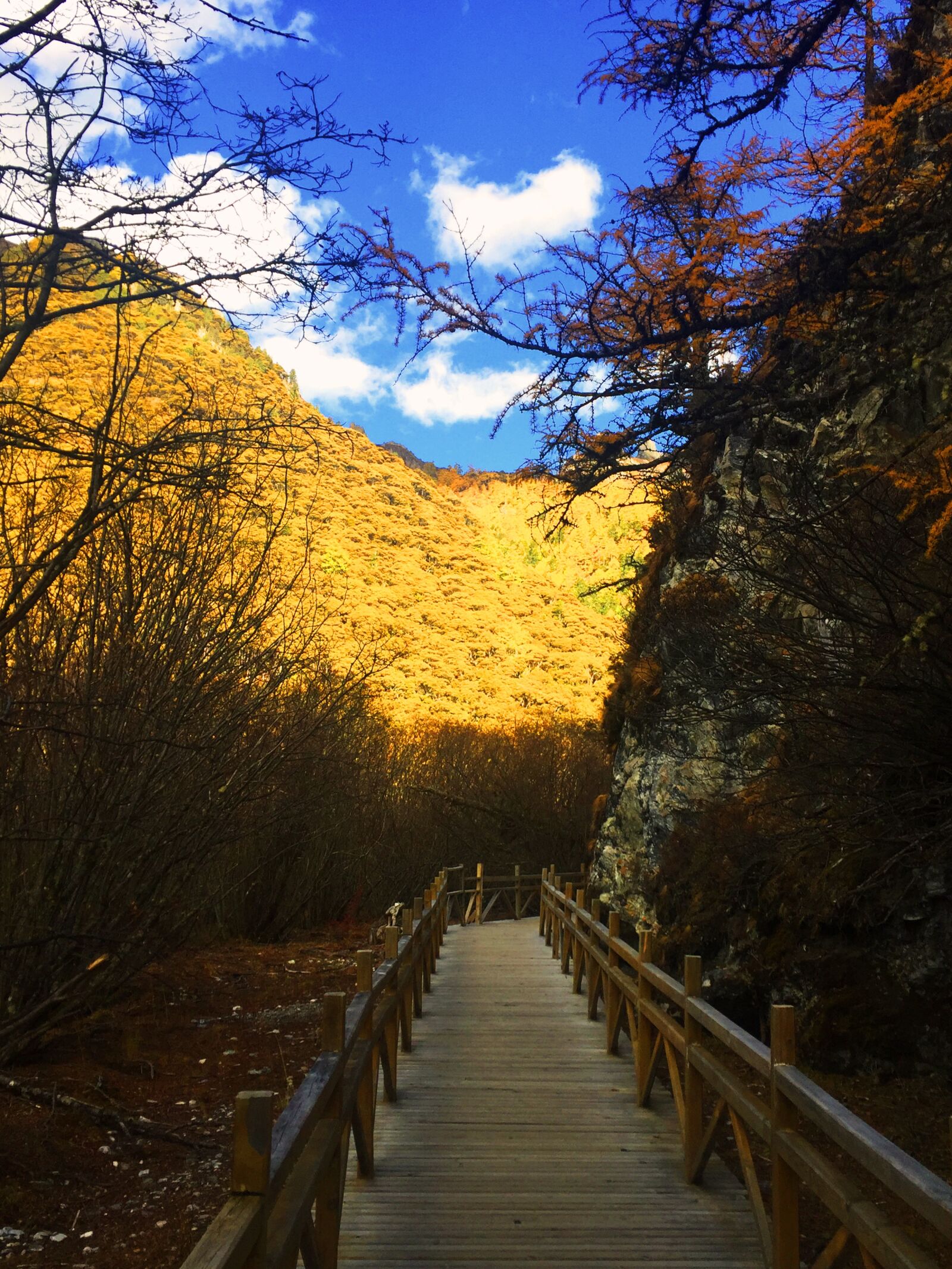 iPhone 6 back camera 4.15mm f/2.2 sample photo. Aden, blue sky, autumn photography