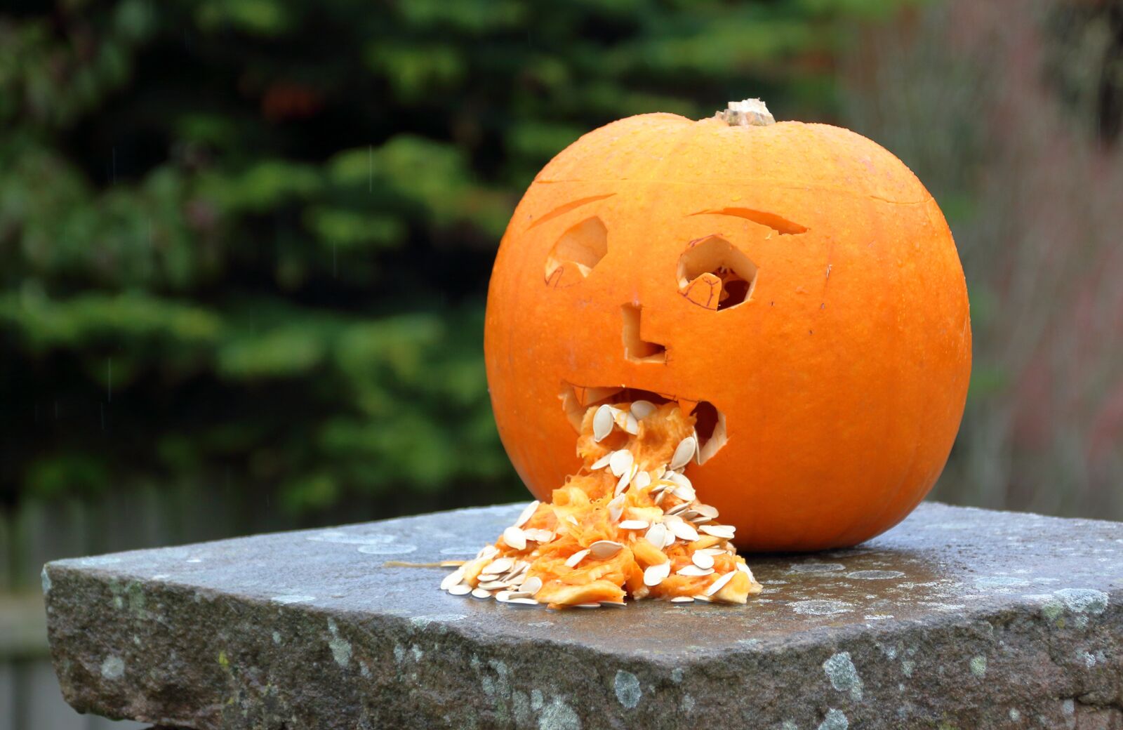 Canon EOS 1200D (EOS Rebel T5 / EOS Kiss X70 / EOS Hi) sample photo. Pumpkin, halloween, nausea photography