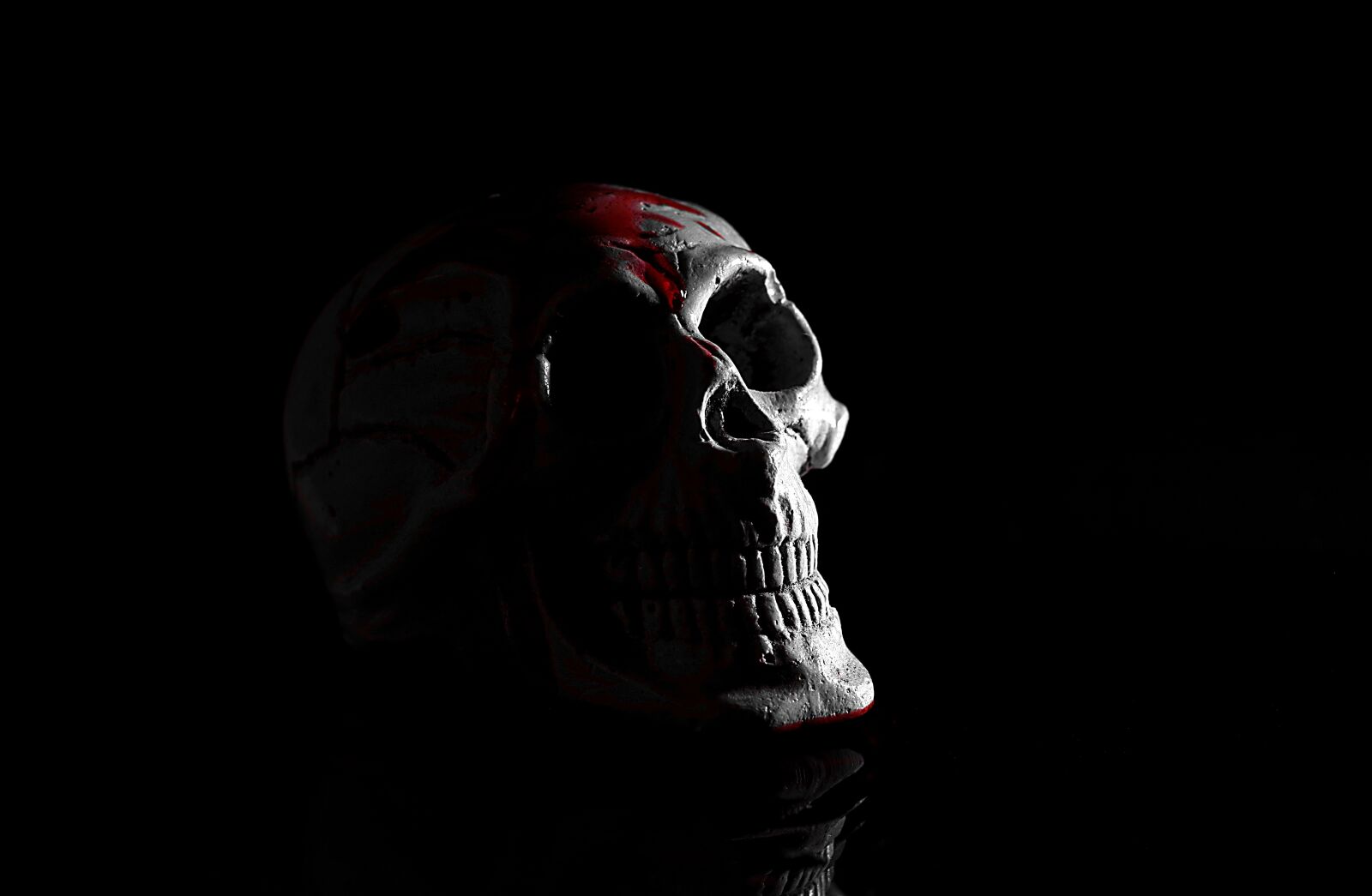 Pentax K-S2 sample photo. Death, skull, human photography
