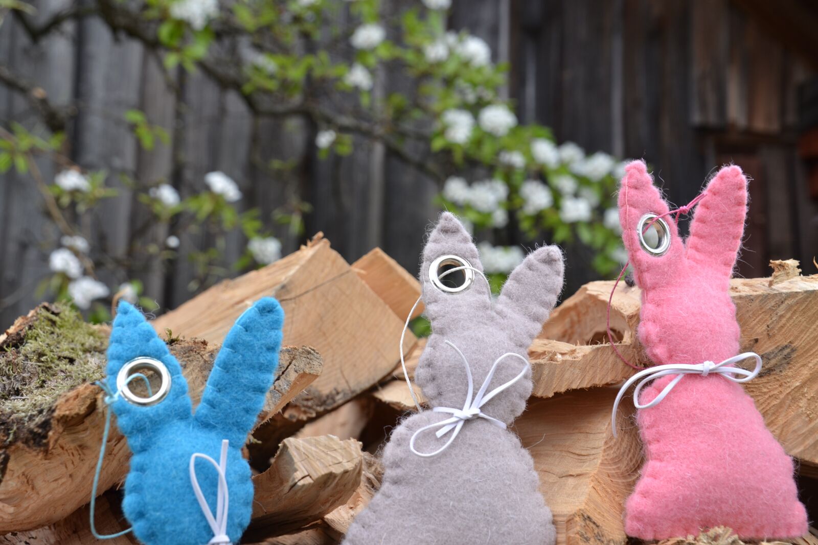 Nikon D3100 sample photo. Rabbit ears, easter bunny photography