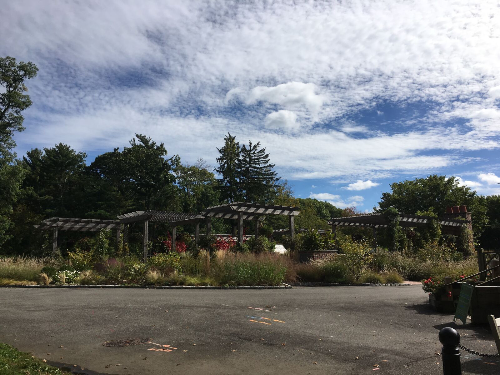 iPhone 6s back camera 4.15mm f/2.2 sample photo