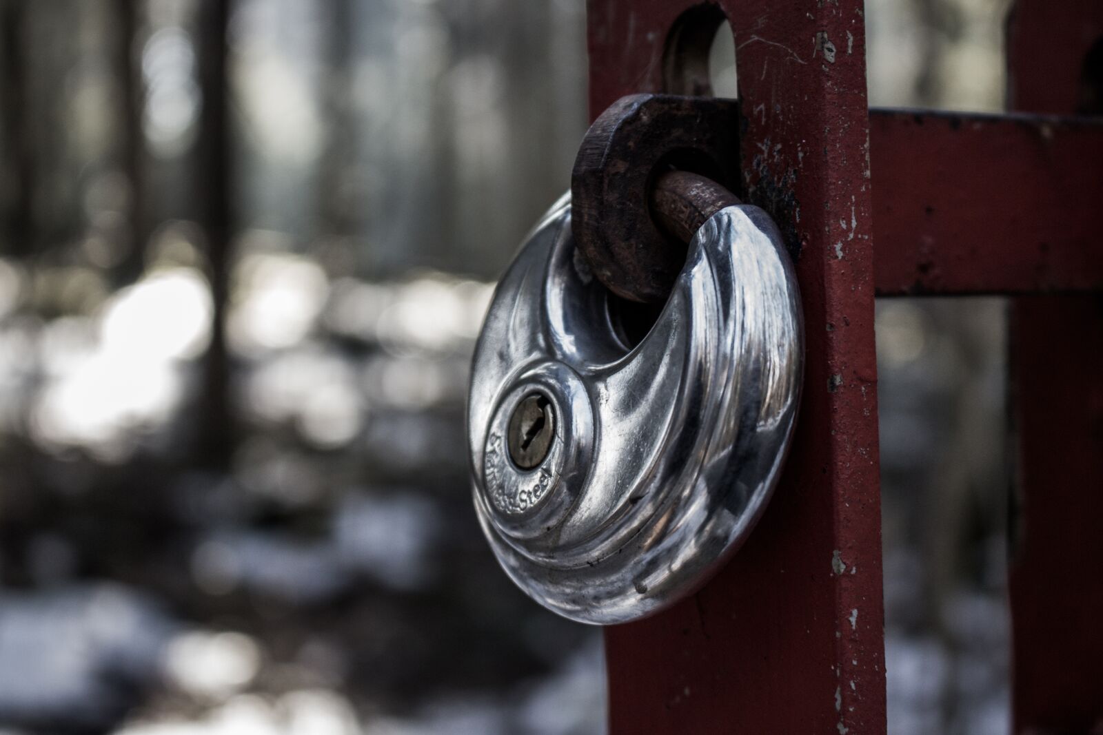 Canon EOS 750D (EOS Rebel T6i / EOS Kiss X8i) sample photo. Closed, padlock, metal photography
