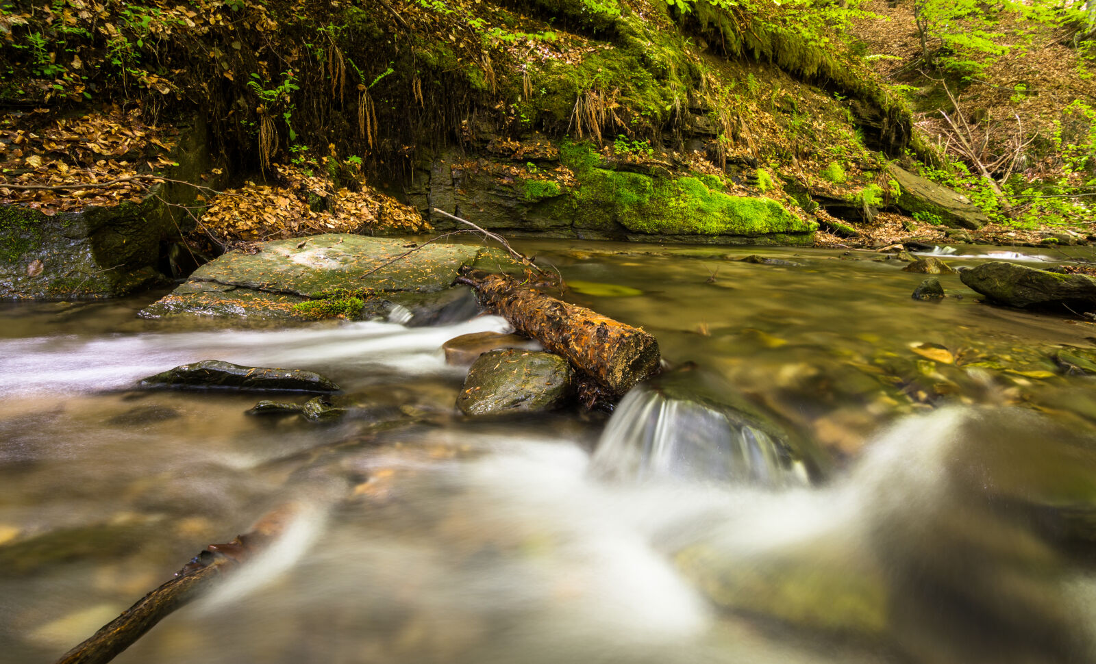 Canon EOS 6D + Tokina AT-X Pro 11-16mm F2.8 DX sample photo. Cascade, creek, environment, fall photography
