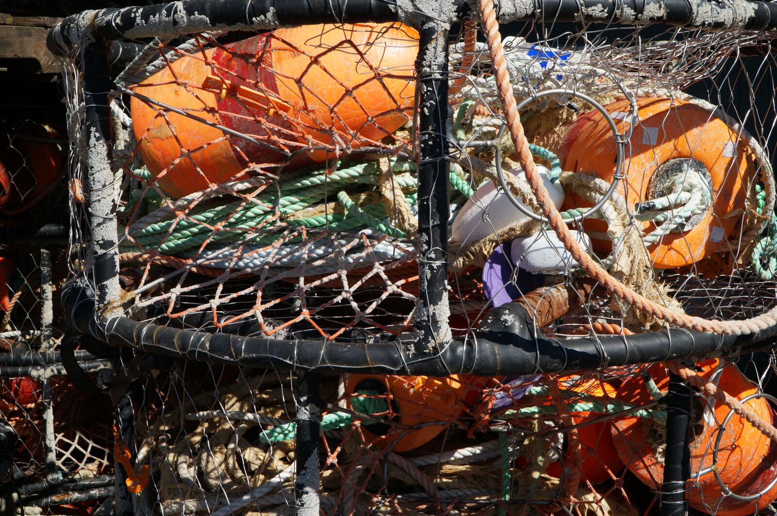 Sony Alpha NEX-6 + Sony E PZ 18-105mm F4 G OSS sample photo. Crab, pot, buoys photography