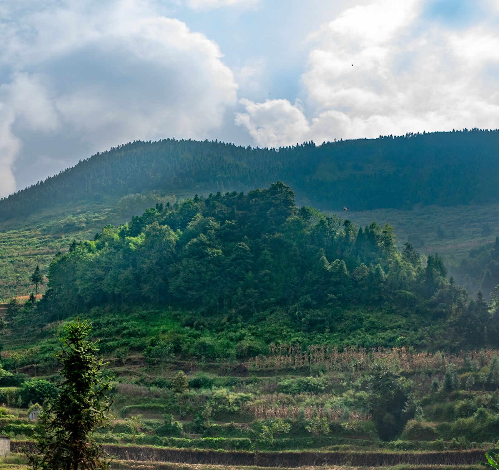 Nikon D3400 sample photo. Cloud, cumulus, mountain photography