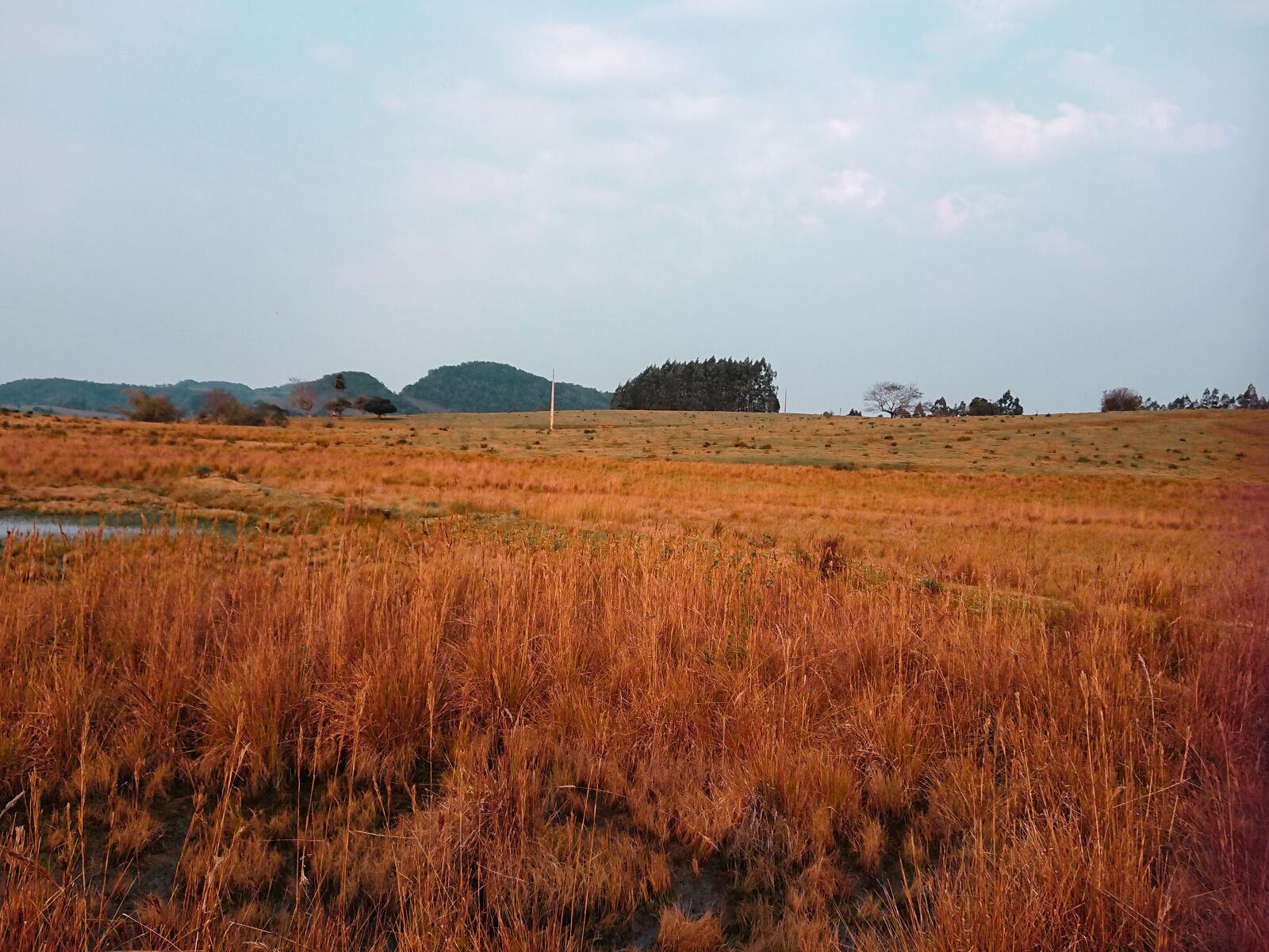 Sony Xperia XZ Premium sample photo. Orange, nature, fall photography