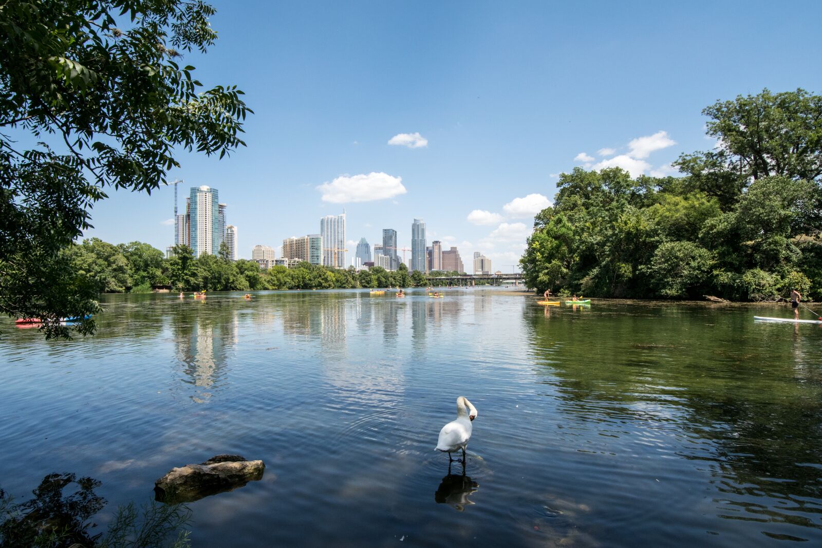 Nikon D5300 sample photo. Austin, texas, lake photography