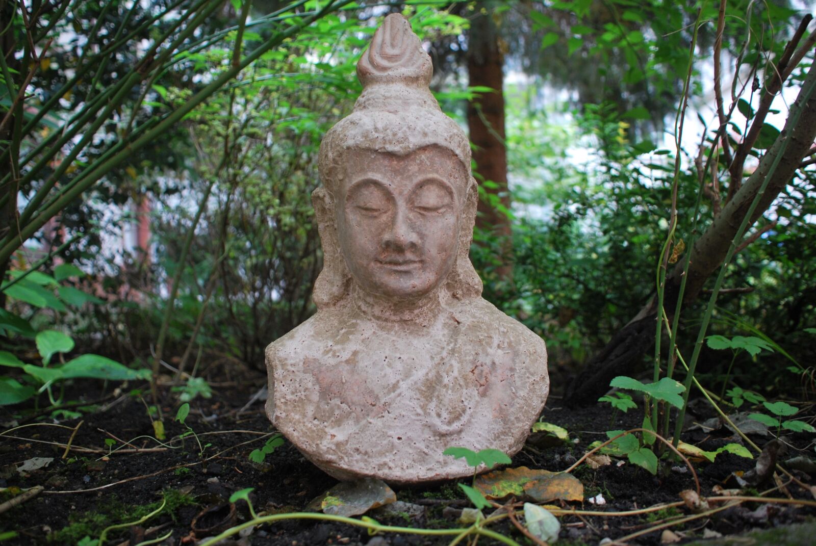 Nikon D60 sample photo. Religion, buddha figure, garden photography
