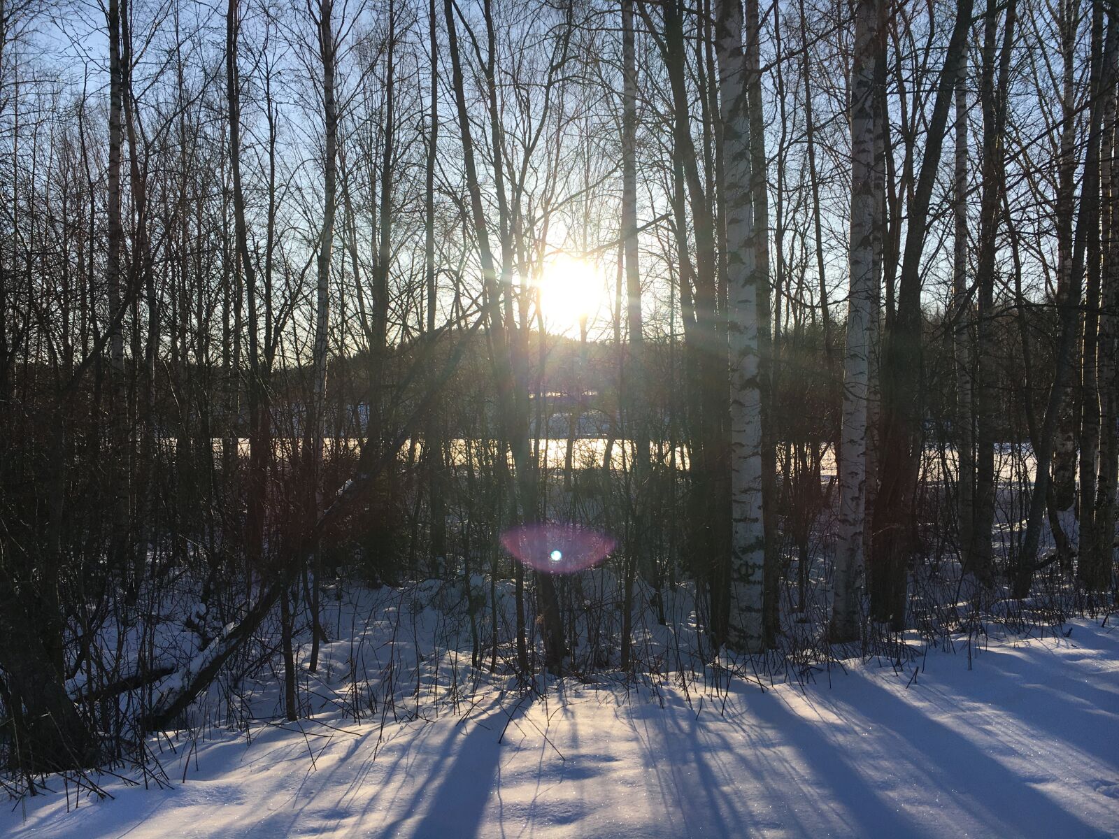 Apple iPhone 6s sample photo. Nature, winter, sunrise photography