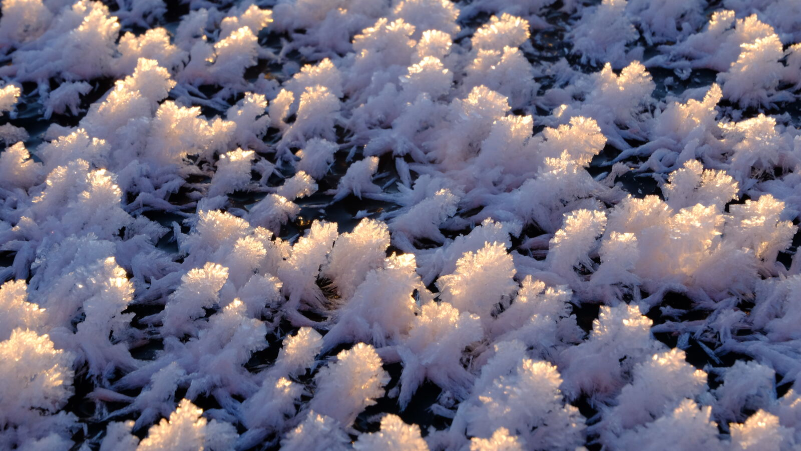 Fujifilm X-M1 sample photo. Frozen, frozen, lake, ice photography