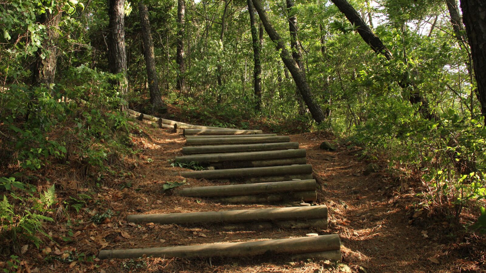 Canon EF-S 18-200mm F3.5-5.6 IS sample photo. Mountain, mountain trail, stairs photography