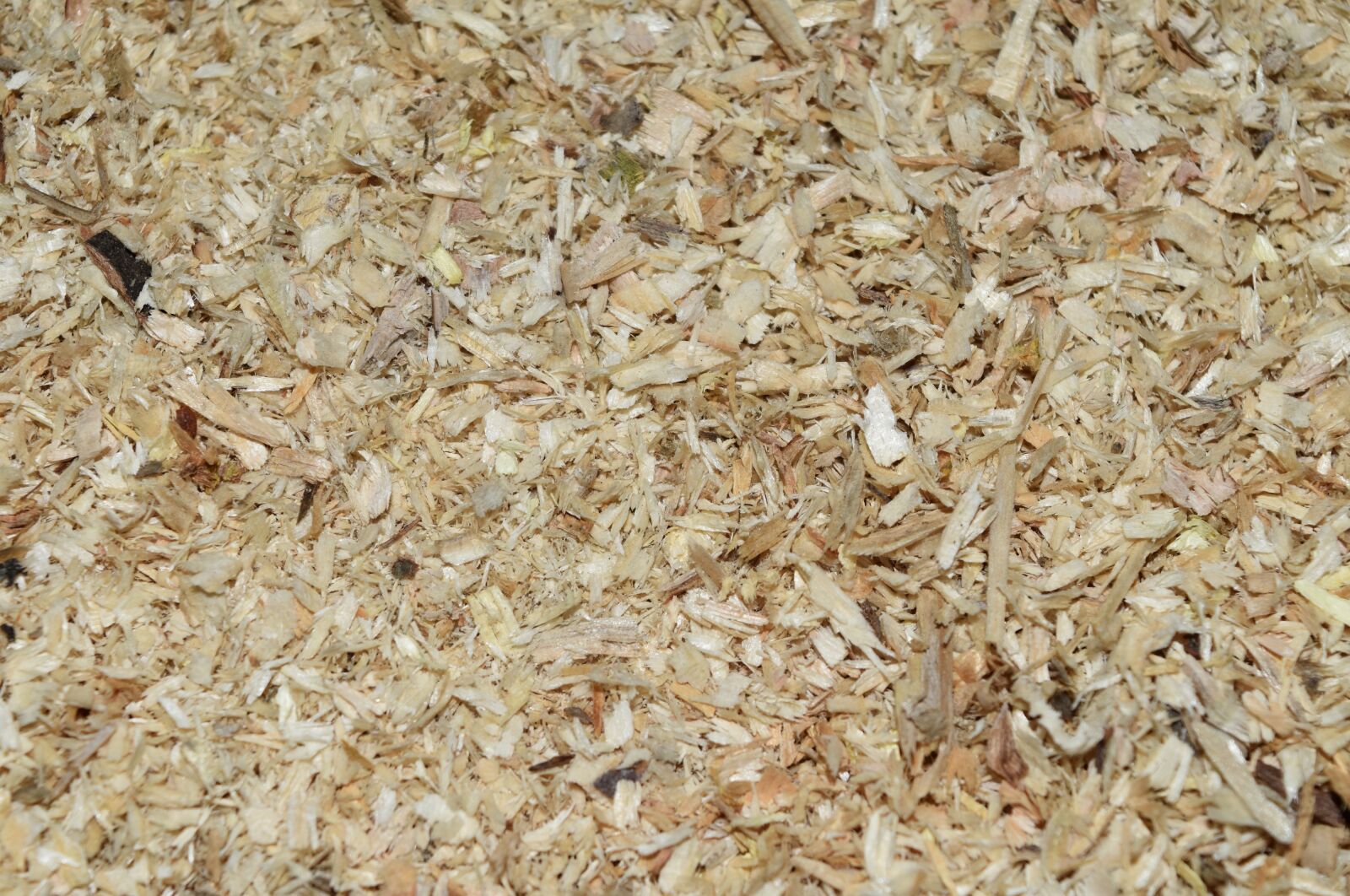 Nikon D5500 sample photo. Sawdust, abstract, mock up photography
