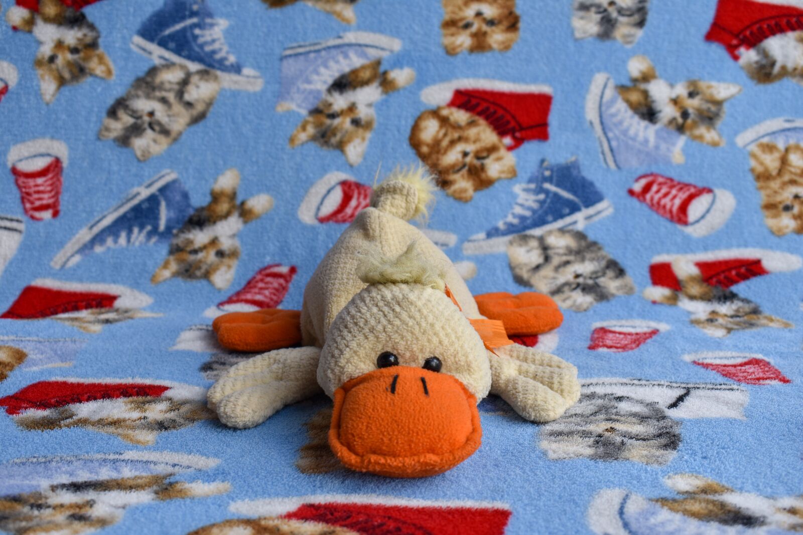 Nikon D3400 sample photo. Stuffed duck, toy, children photography