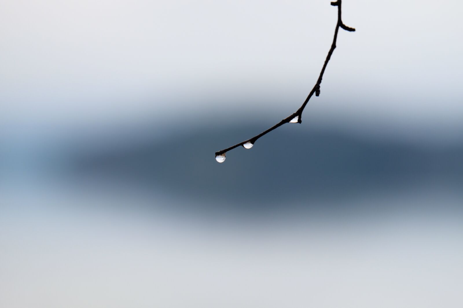Fujifilm XC 50-230mm F4.5-6.7 OIS sample photo. Sky, nature, desktop photography