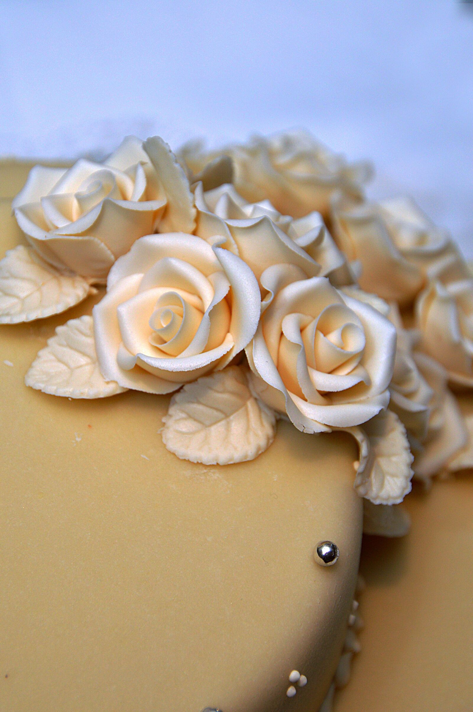 Nikon D3200 sample photo. Cake, wedding cake, marzipan photography