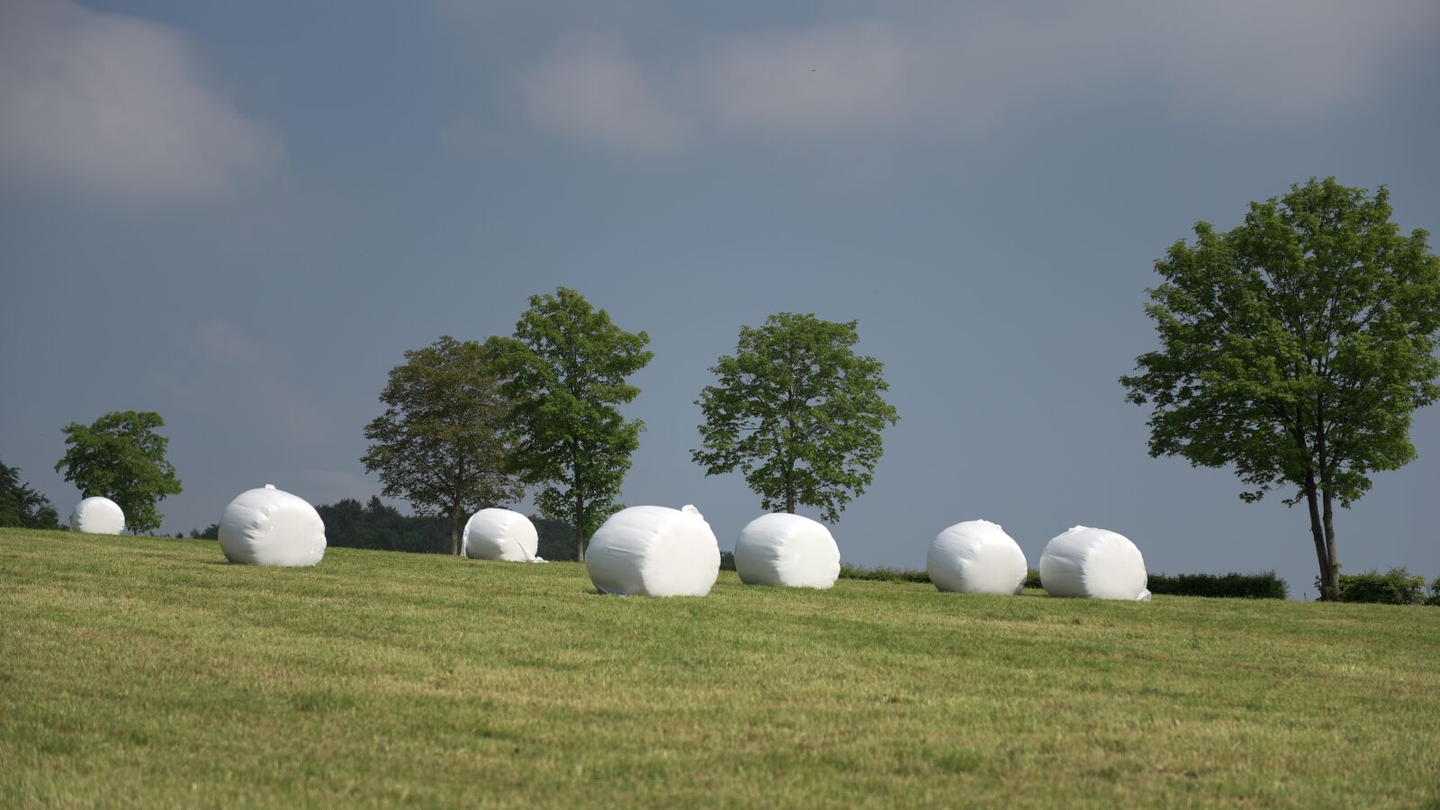 Nikon D750 sample photo. Meadow, hay bales, bale photography