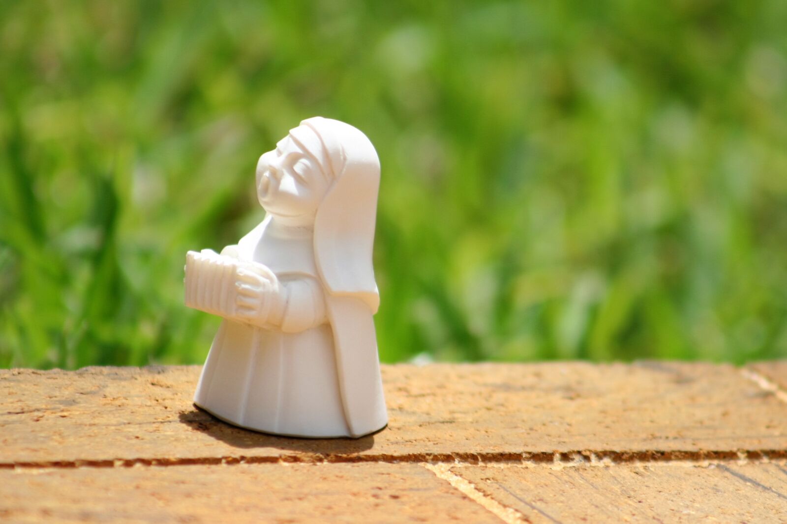 Canon EOS 20D sample photo. Playing nun, playing the photography