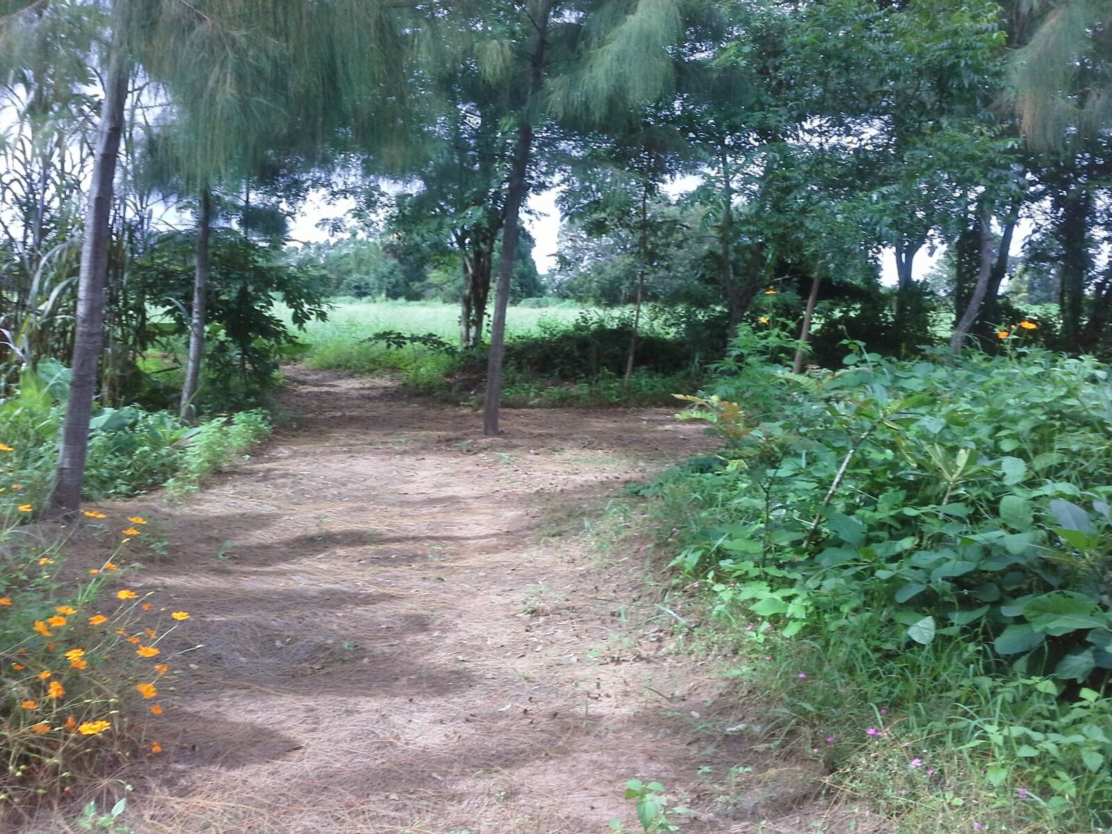 Samsung Galaxy Note 10.1 sample photo