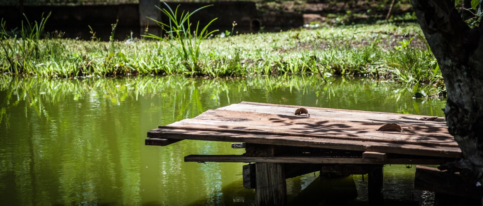 Nikon D3000 sample photo. Lake, landscape, nature photography