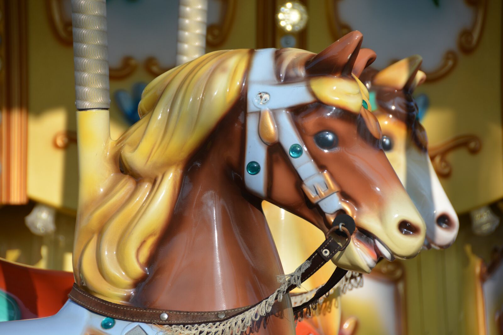 Nikon D7100 sample photo. Horse, manege, carousel photography