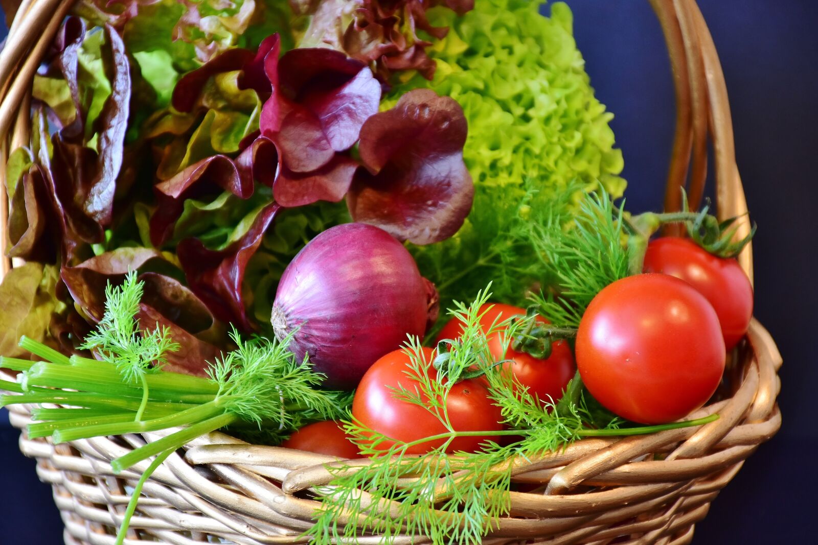 Nikon D7200 sample photo. Salad, tomatoes, onion photography
