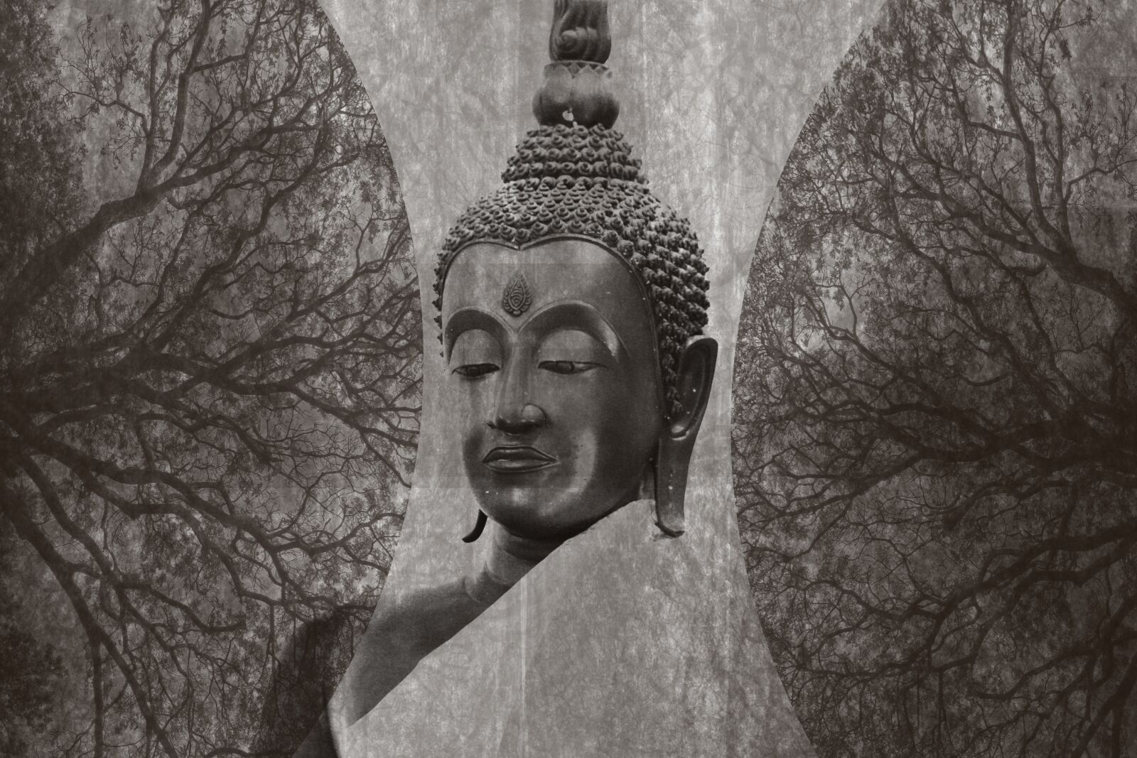 Canon EOS 450D (EOS Rebel XSi / EOS Kiss X2) sample photo. Buddha, ayutthaya, thailand photography