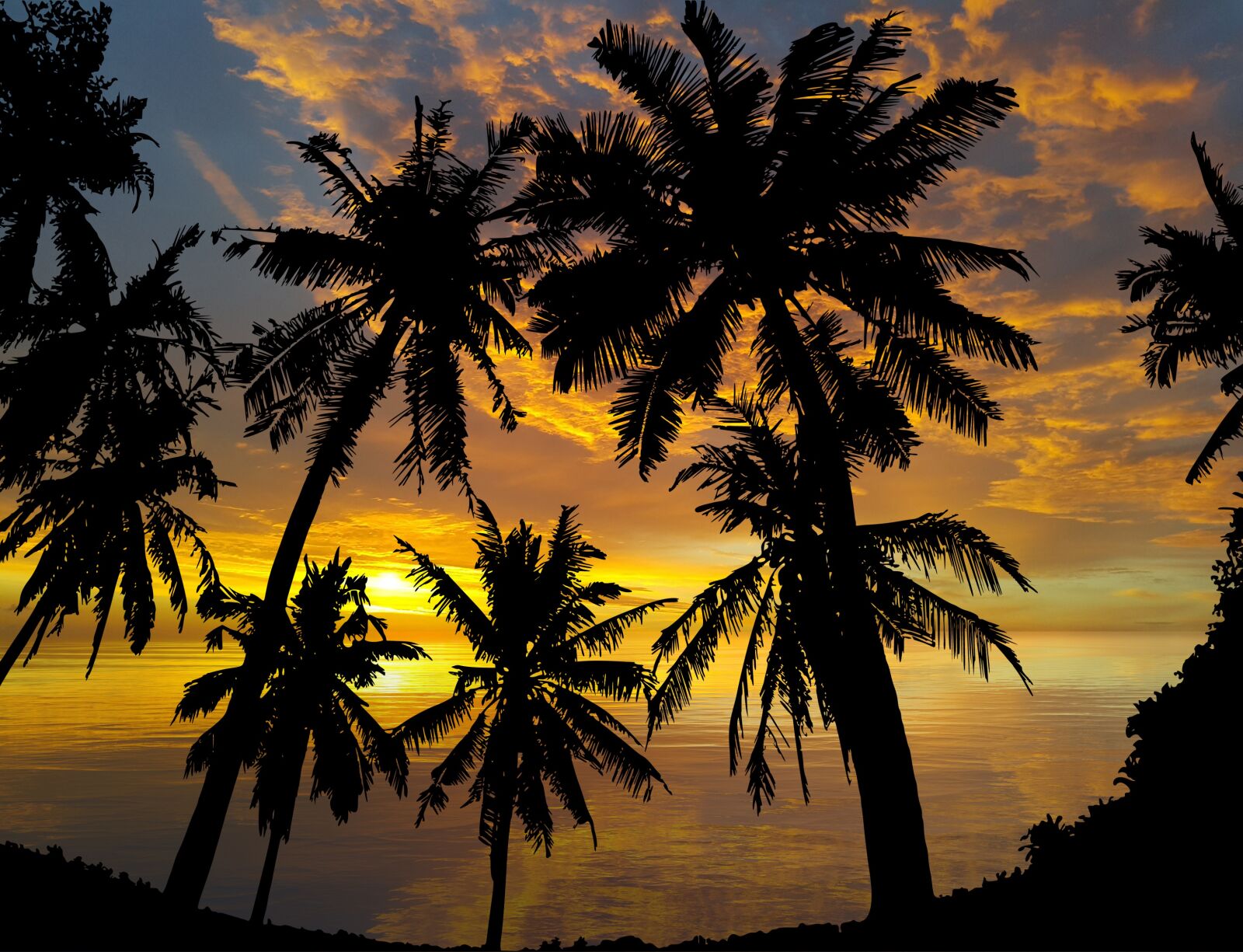 Samsung Galaxy Note4 sample photo. Sunset, palm trees, tropical photography