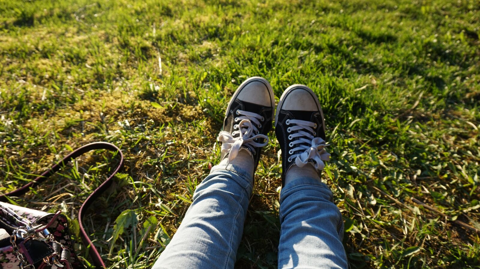 Sony Alpha a5000 (ILCE 5000) sample photo. Black, converse, converse all photography