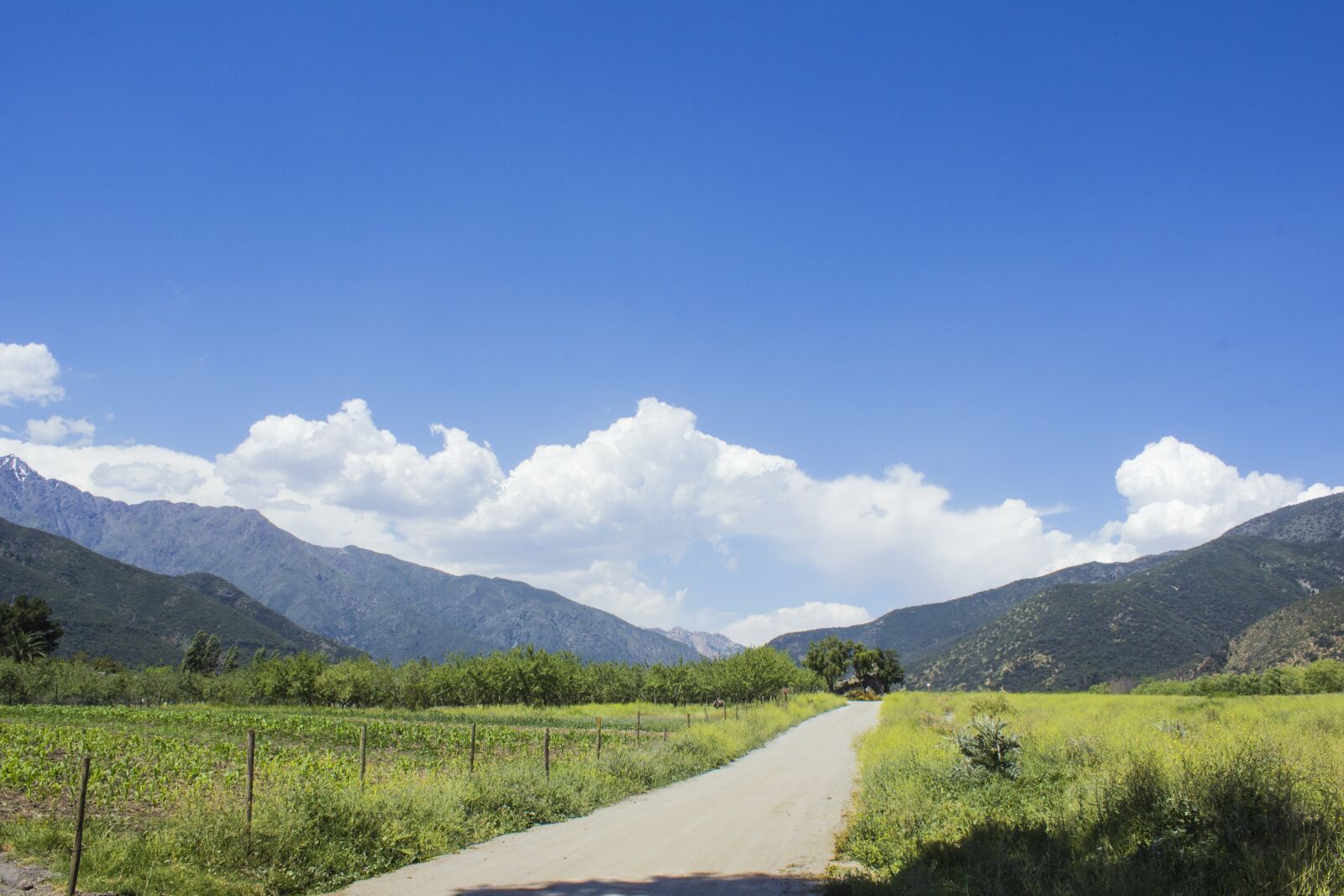 Canon EOS 600D (Rebel EOS T3i / EOS Kiss X5) sample photo. Landscape, chile, field photography