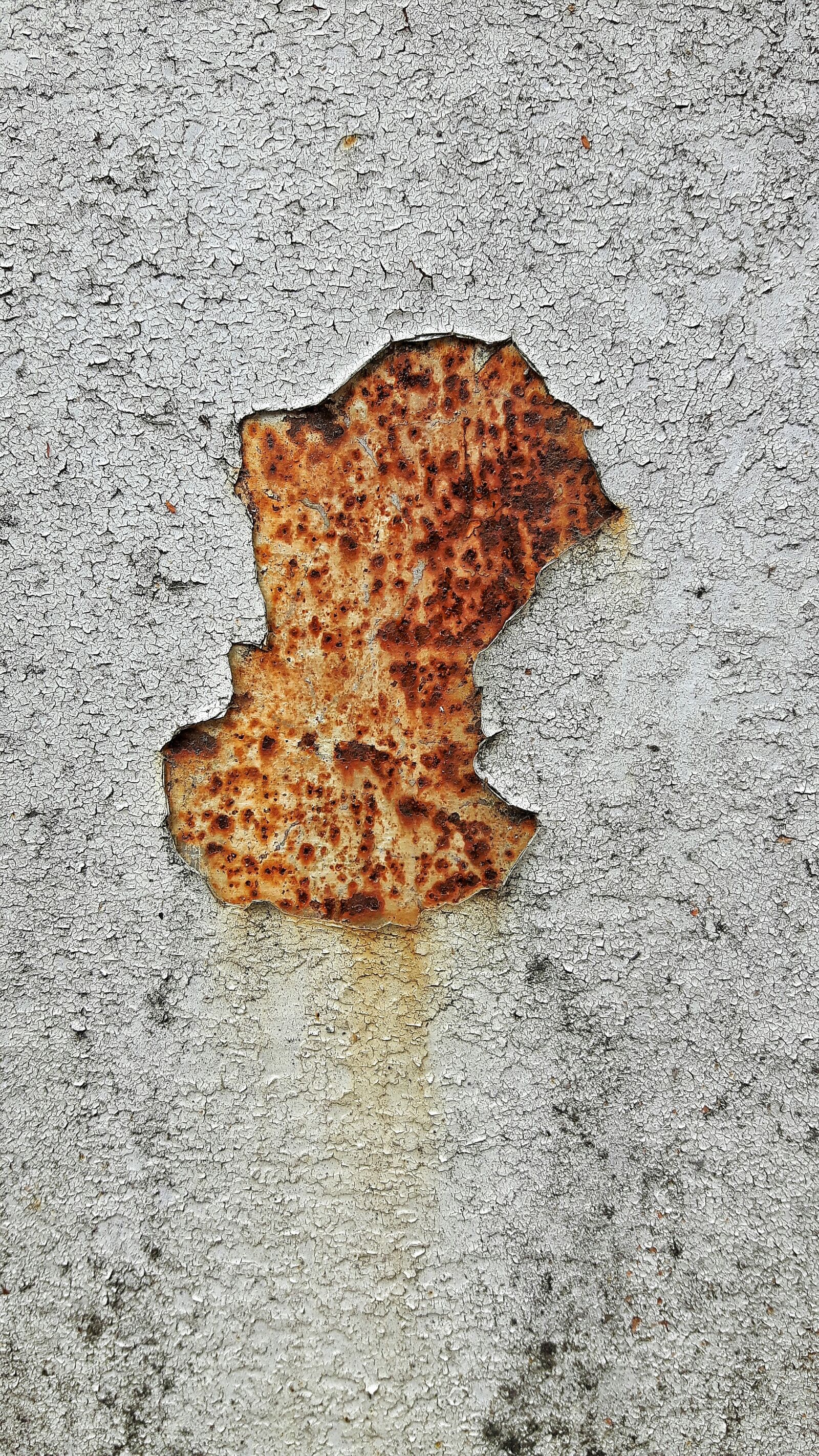 Samsung Galaxy S5 Neo sample photo. Iron, rust, texture photography