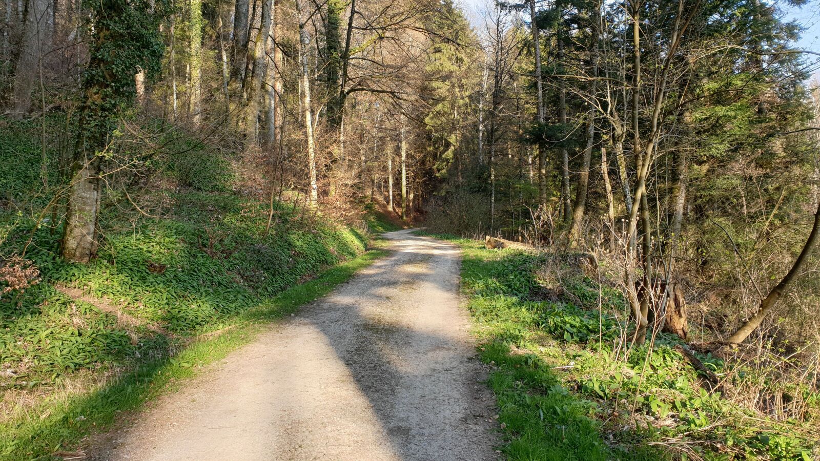 Samsung Galaxy S9 sample photo. Warehouses, forest path, wettingen photography