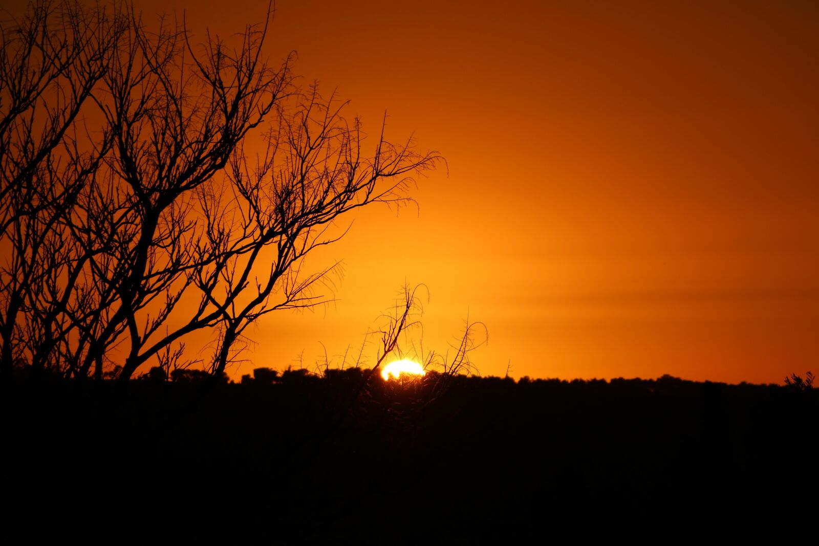 Canon EOS 760D (EOS Rebel T6s / EOS 8000D) sample photo. Sunset, sky, twilight photography