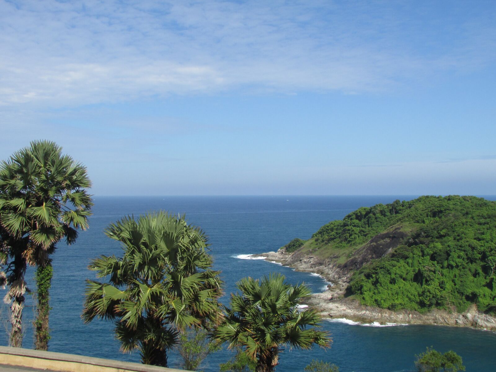 Canon PowerShot SX400 IS sample photo. Beach, tree, palm tree photography