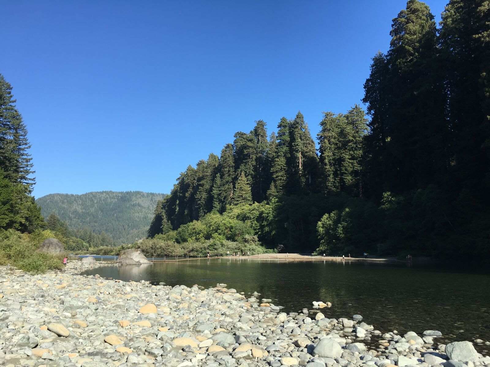 Apple iPhone 6s sample photo. Jedediah smith redwood state photography
