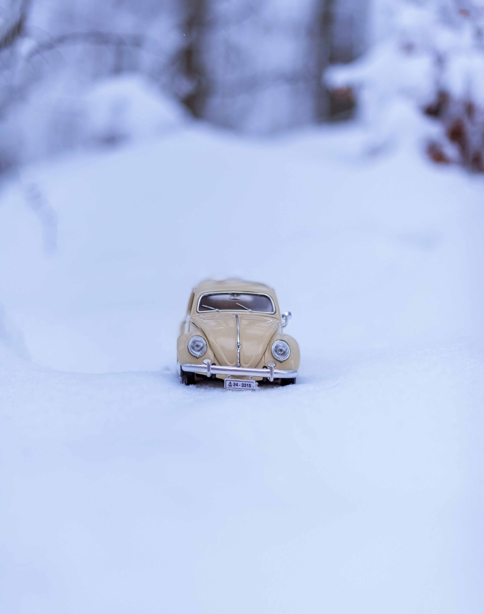 Nikon D750 sample photo. Car, miniature, toy photography